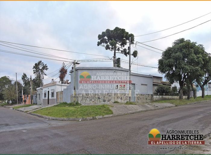 imagen  de la propiedad 126424