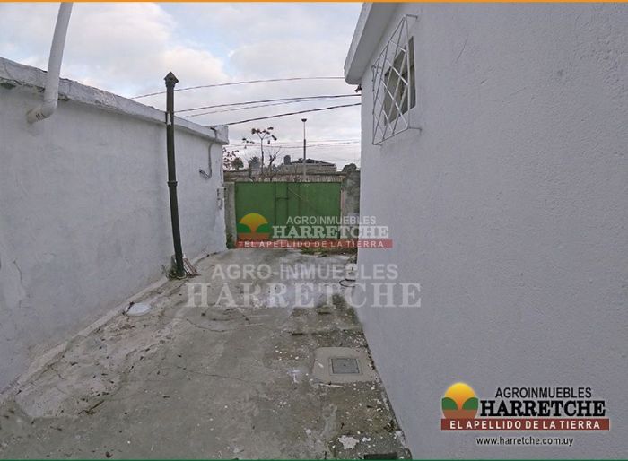 imagen  de la propiedad 126424