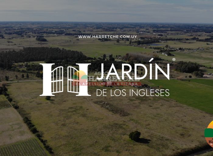imagen  de la propiedad 127844
