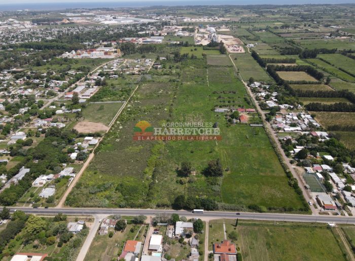 imagen  de la propiedad 131355