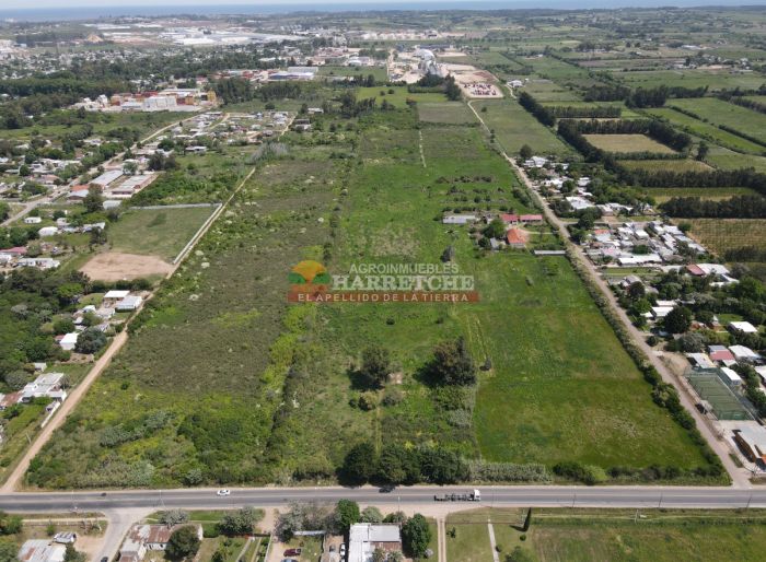 imagen  de la propiedad 131355
