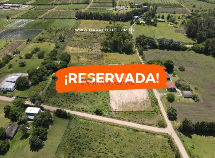 imagen  de la propiedad 137305