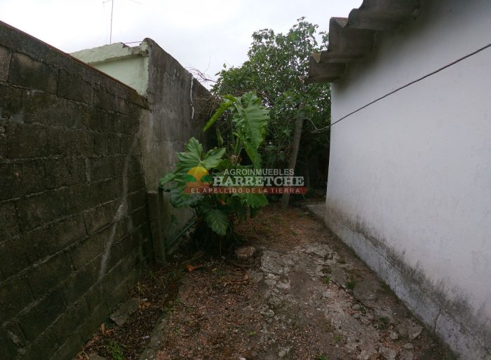 imagen  de la propiedad 142638