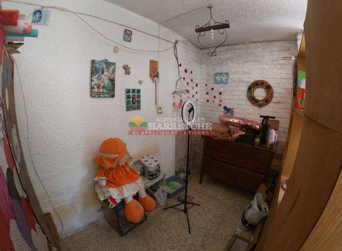 imagen  de la propiedad 142931