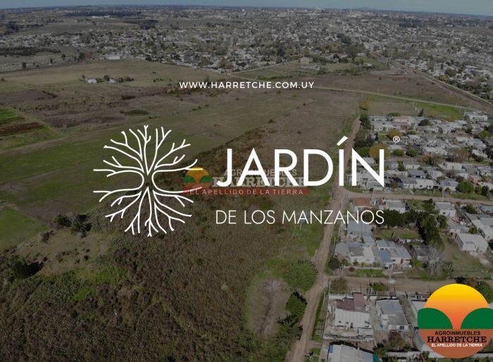 imagen  de la propiedad 154677