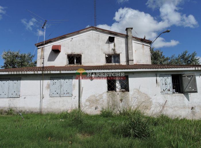 imagen  de la propiedad 164991