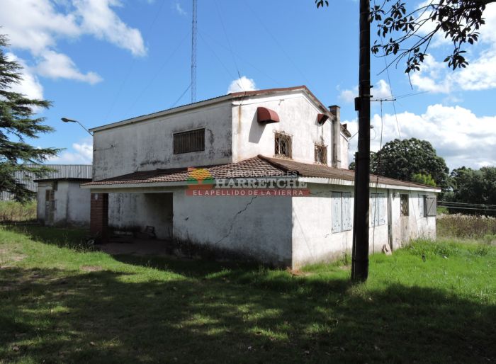 imagen  de la propiedad 164991
