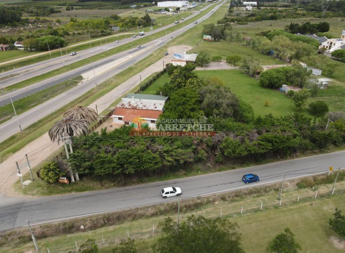 imagen  de la propiedad 165054