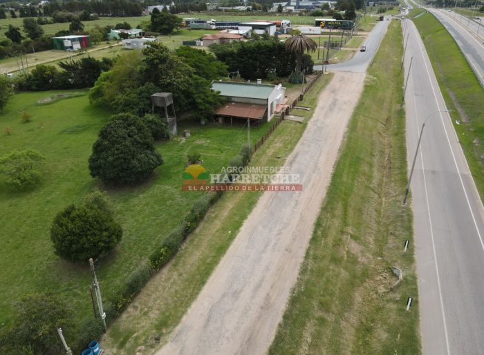 imagen  de la propiedad 165054