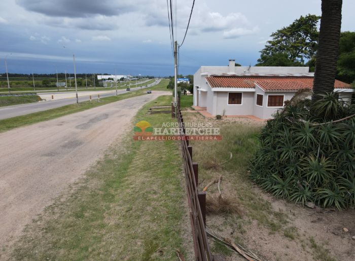 imagen  de la propiedad 165054