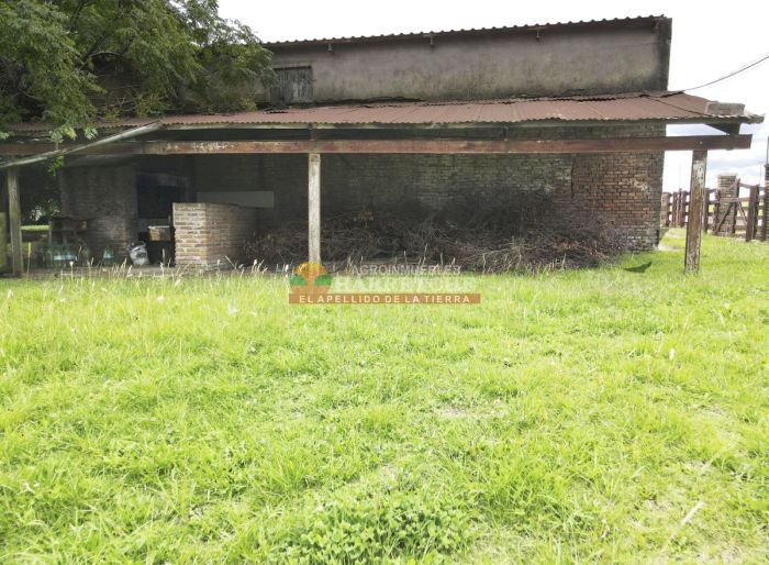 imagen  de la propiedad 165054