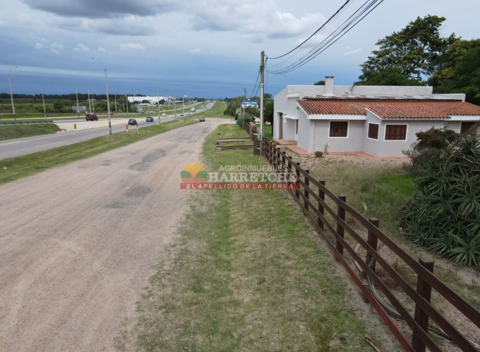 imagen  de la propiedad 165054