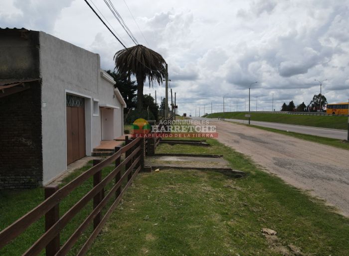 imagen  de la propiedad 165054