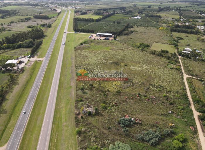 imagen  de la propiedad 165831