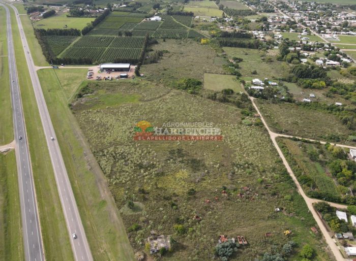 imagen  de la propiedad 165831