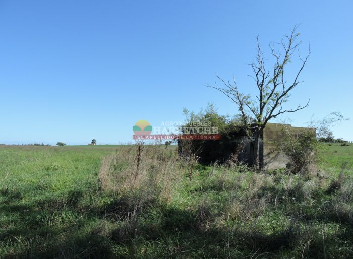 imagen  de la propiedad 166302