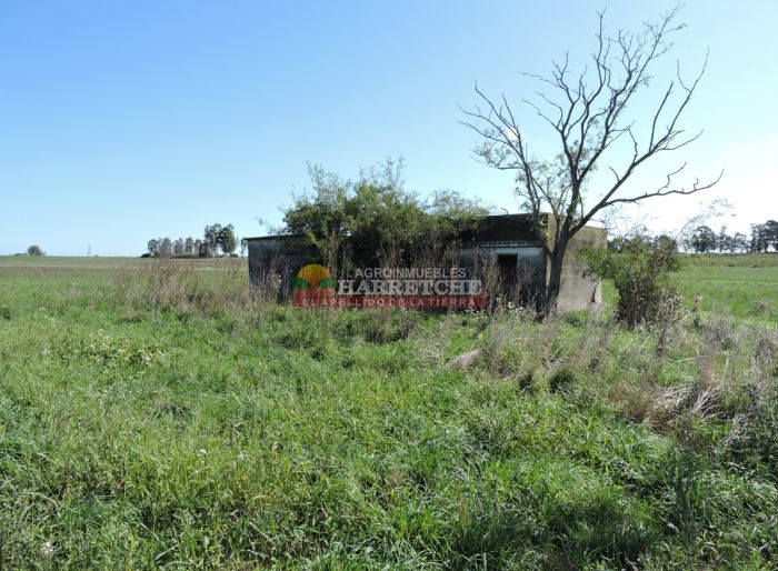 imagen  de la propiedad 166302