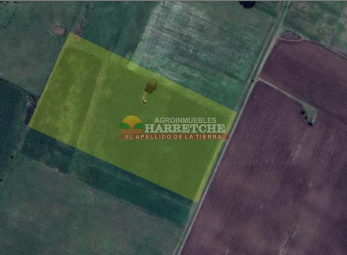 imagen  de la propiedad 166302