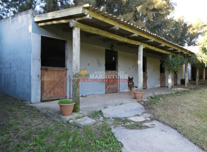 imagen  de la propiedad 169386
