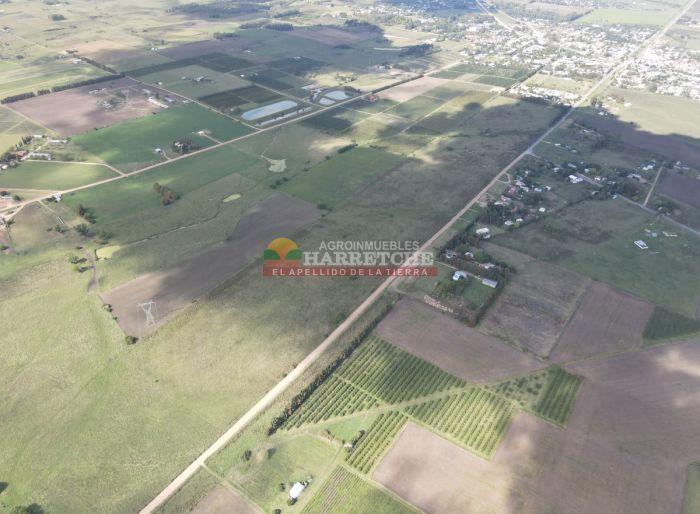imagen  de la propiedad 177461