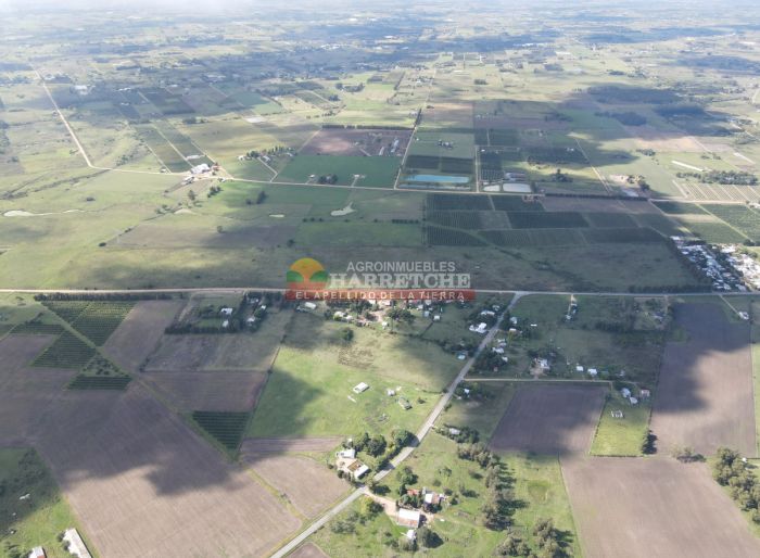 imagen  de la propiedad 177507