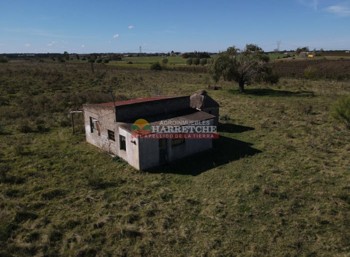 imagen  de la propiedad 177560