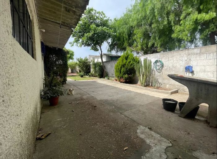 imagen  de la propiedad 165715
