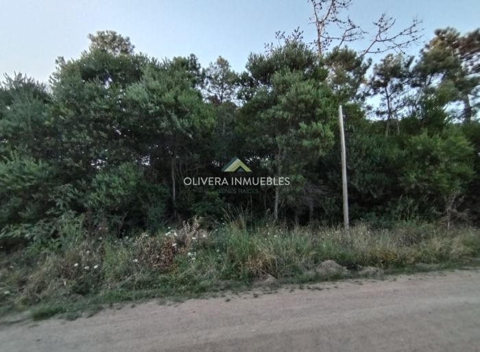 imagen  de la propiedad 122491