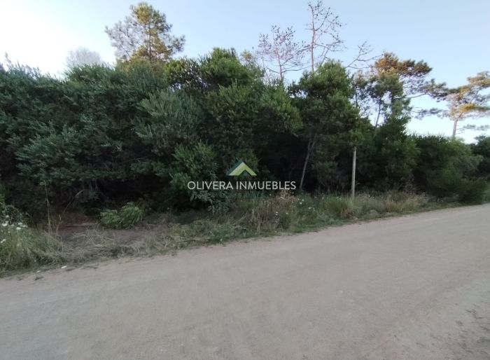 imagen  de la propiedad 122491