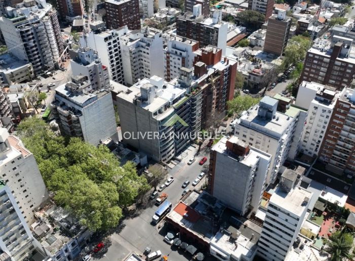 imagen  de la propiedad 126166