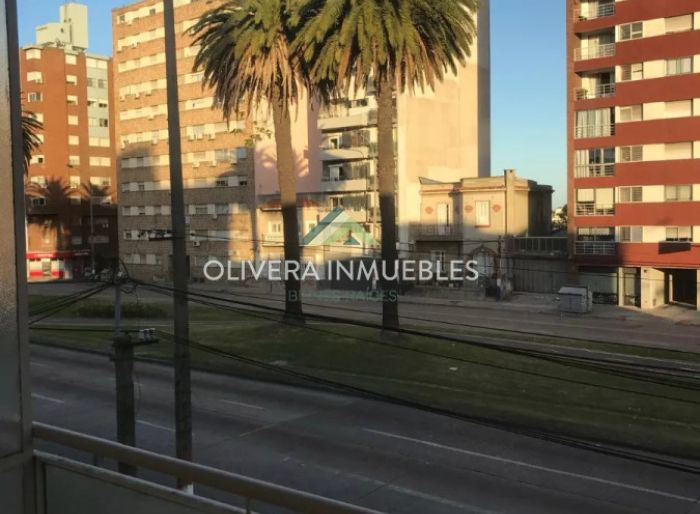 imagen  de la propiedad 145947