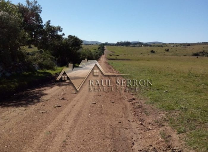 imagen  de la propiedad 125155