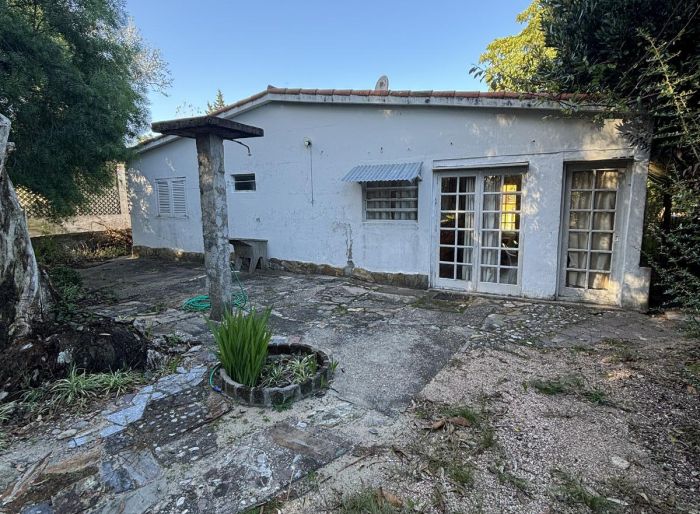 imagen  de la propiedad 183005
