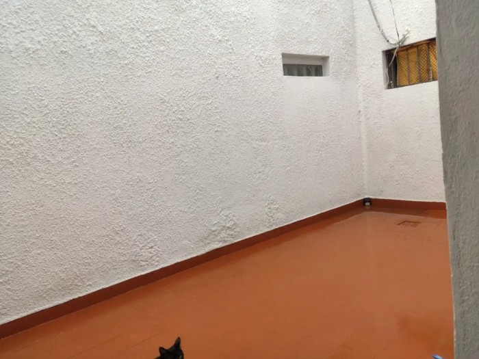 imagen  de la propiedad 177241