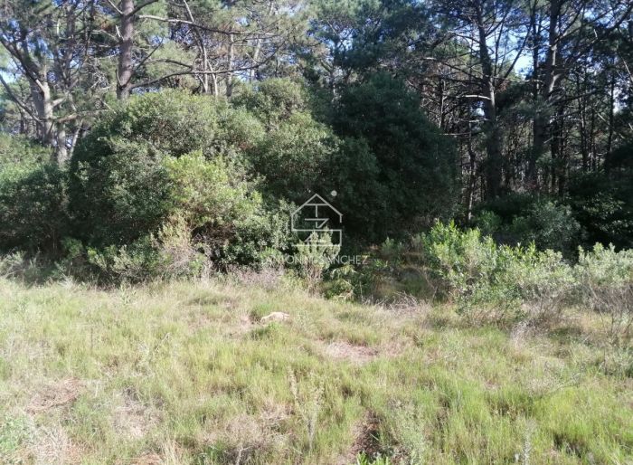 imagen  de la propiedad 149009