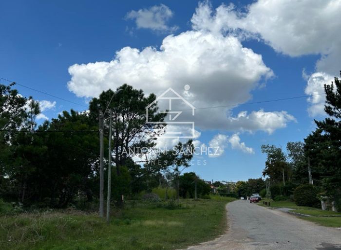 imagen  de la propiedad 155452
