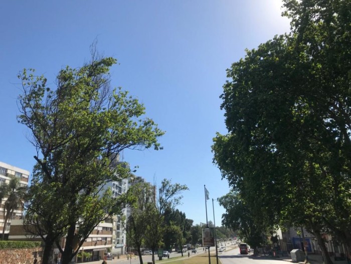 imagen  de la propiedad 129755