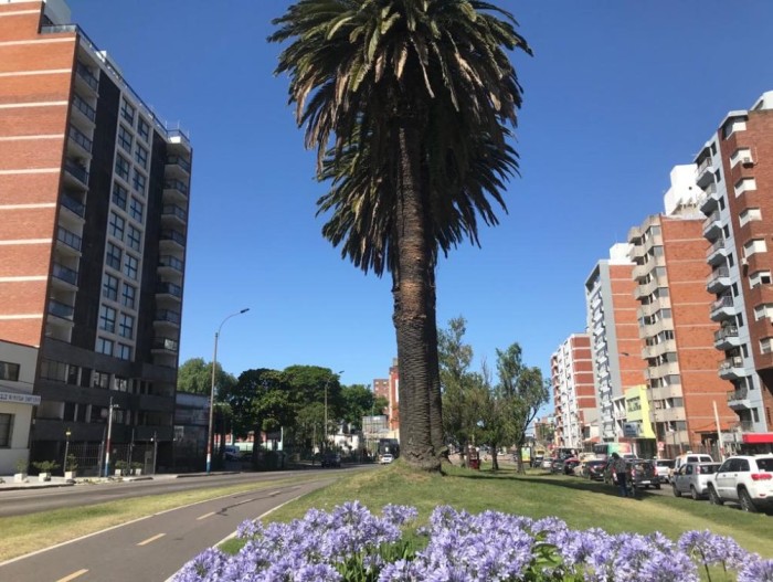 imagen  de la propiedad 129755