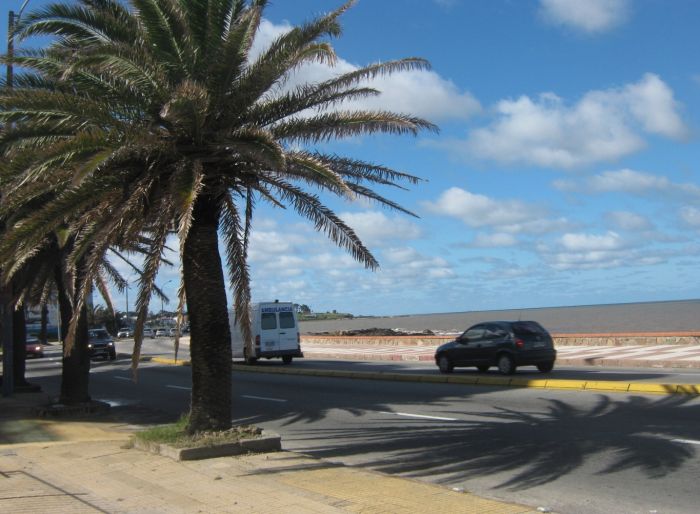 imagen  de la propiedad 138323