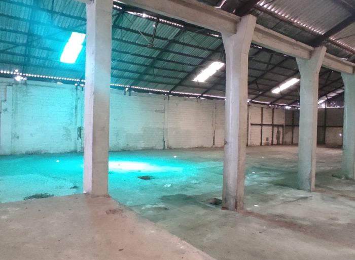 imagen  de la propiedad 142030