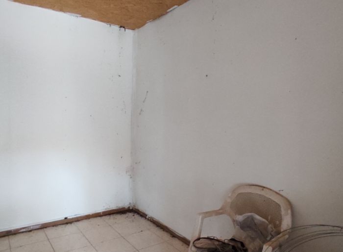 imagen  de la propiedad 142043