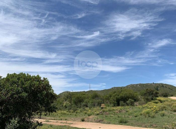 imagen  de la propiedad 163241