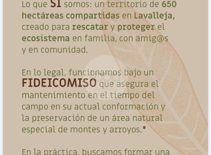 imagen  de la propiedad 163241