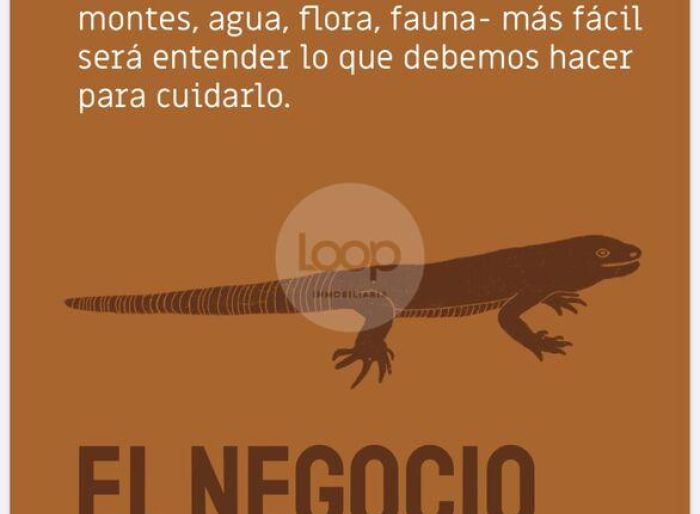 imagen  de la propiedad 163241