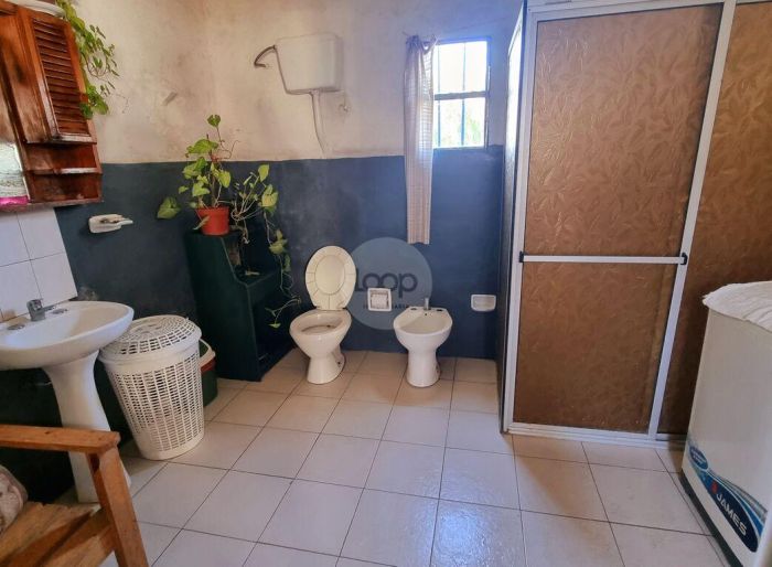 imagen  de la propiedad 172387