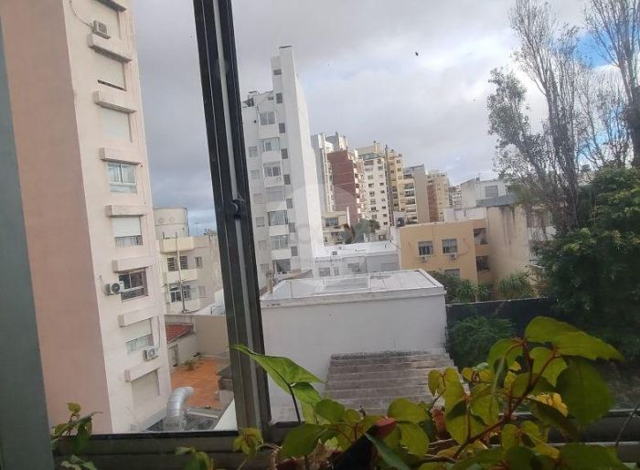 imagen  de la propiedad 183854