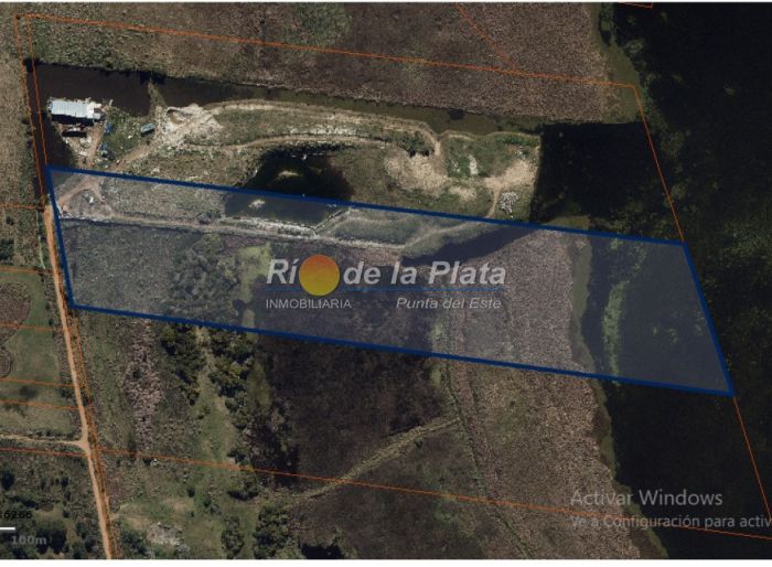 imagen  de la propiedad 142391