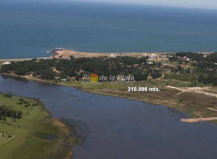 imagen  de la propiedad 142391