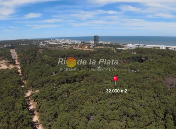 imagen  de la propiedad 142394