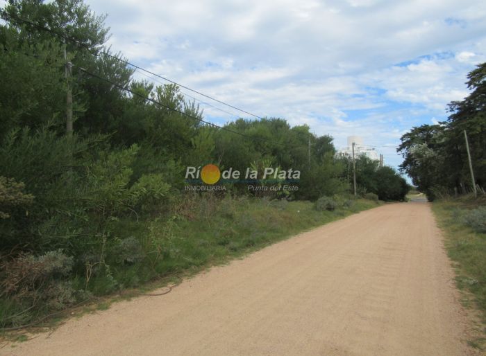 imagen  de la propiedad 142412
